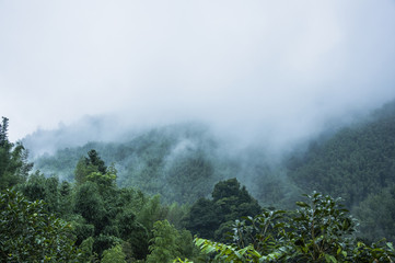 成华区解封最新消息（成华区解封最新消息新闻）